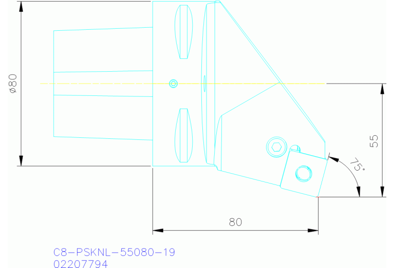 C8-PSKNL-55080-19