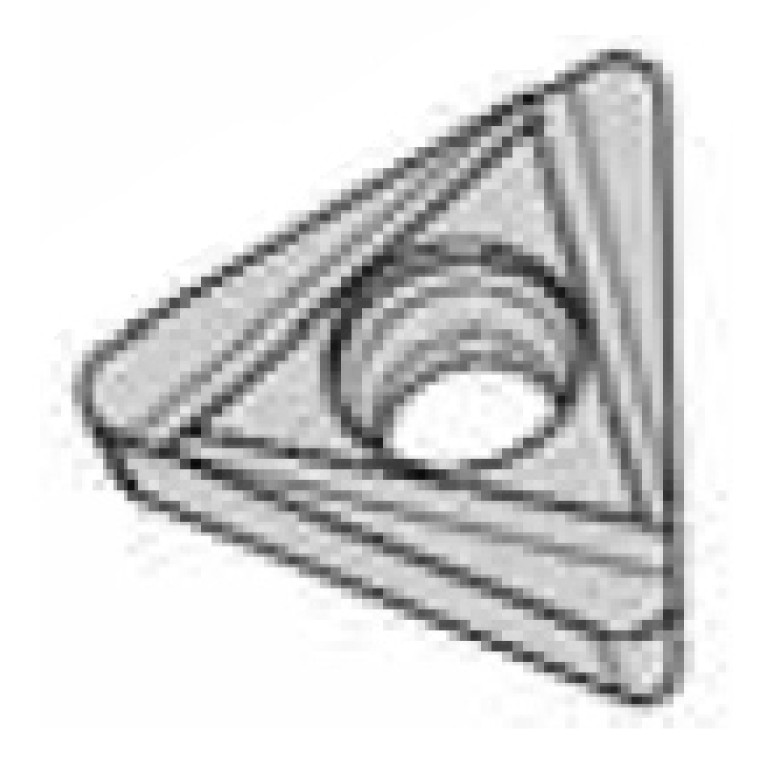 TCXT090202F01L-2L-HP137