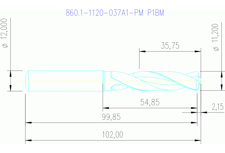 860.1-1120-037A1-PM P1BM