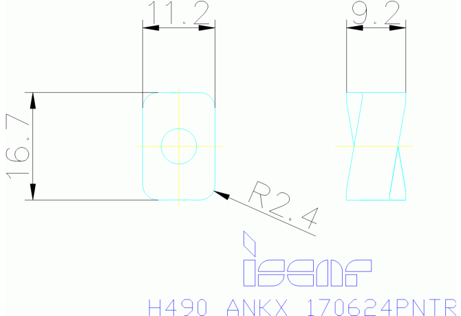 H490 ANKX 170624PNTR IC928