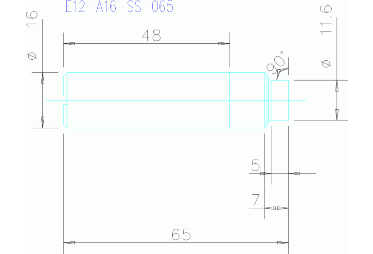 E12-A16-SS-065