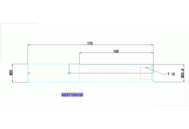 S025T15CA100