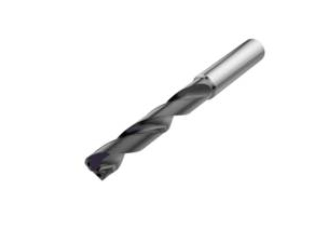 SD205A-1125-056-12R1-P