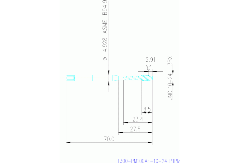T300-PM100AE-10-24 P1PM