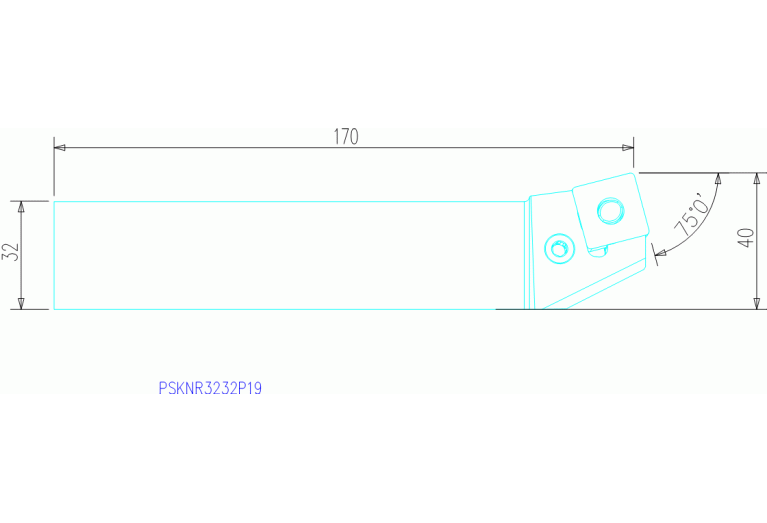 PSKNR3232P19