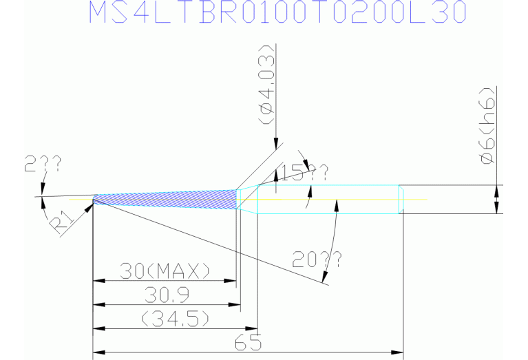 MS4LTBR0100T0200L30