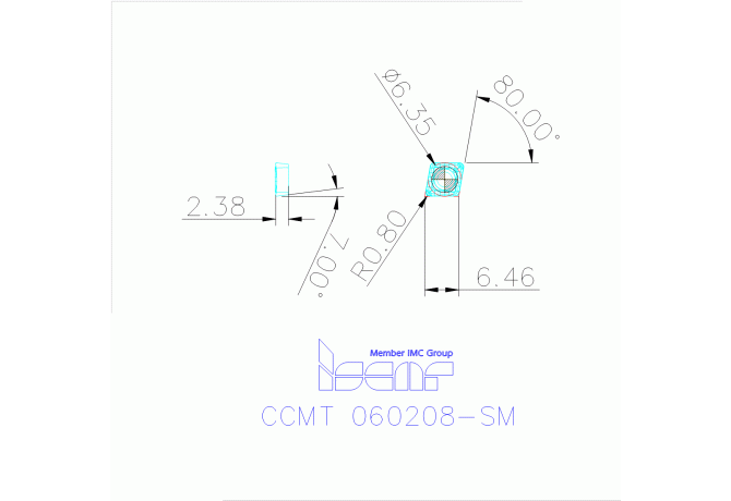 CCMT 060208-SM IC807