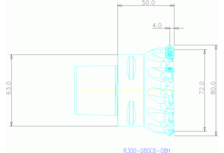 R300-080C6-08H