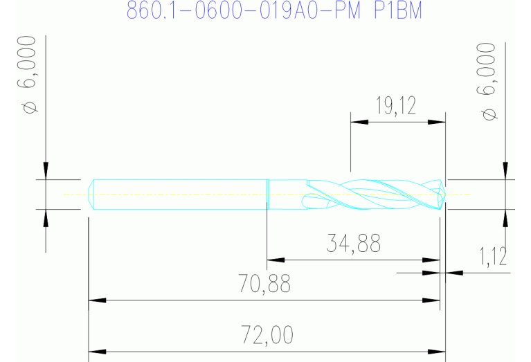 860.1-0600-019A0-PM P1BM