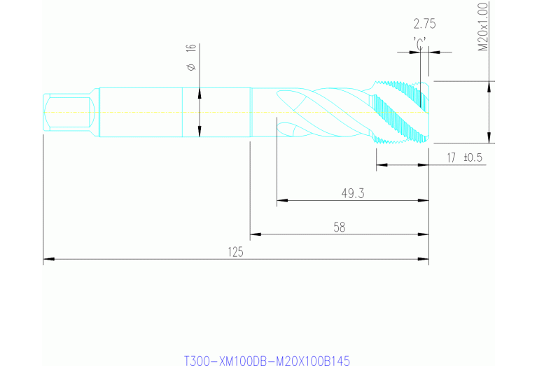 T300-XM100DB-M20X100B150