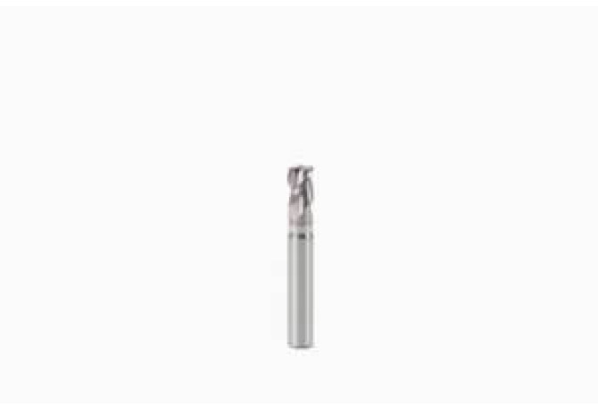 910040R020-TRIBON