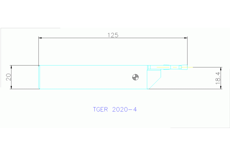 TGER 2020-4