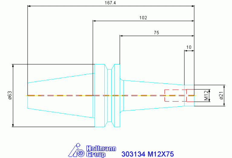 303134 M12X75