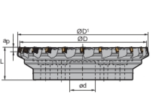 FME17-200-C60-SN12-22