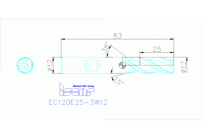 EC120E25-3W12 IC300