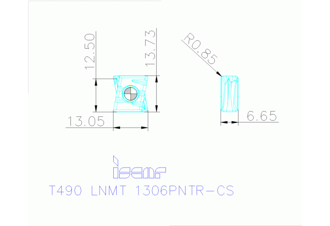 T490 LNMT 1306PNTR-CS IC330