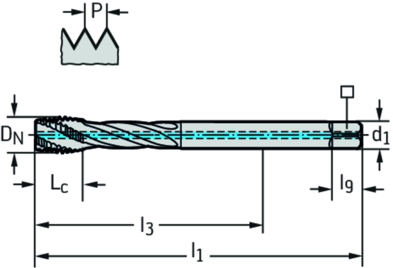 TC121-M14-L1-WW60RG