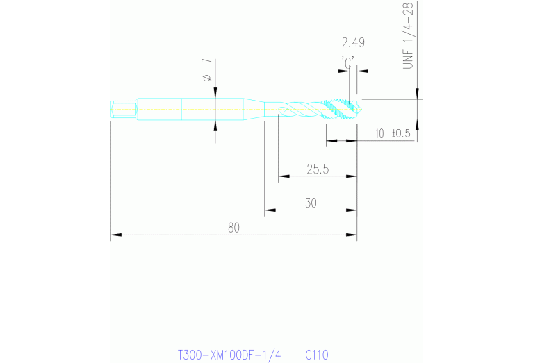 T300-XM100DF-1/4 C110