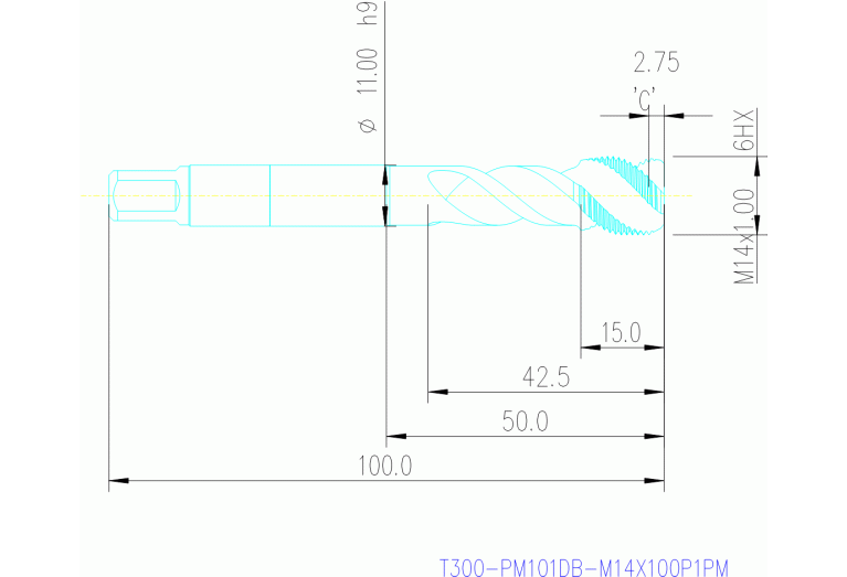 T300-PM101DB-M14X100P1PM