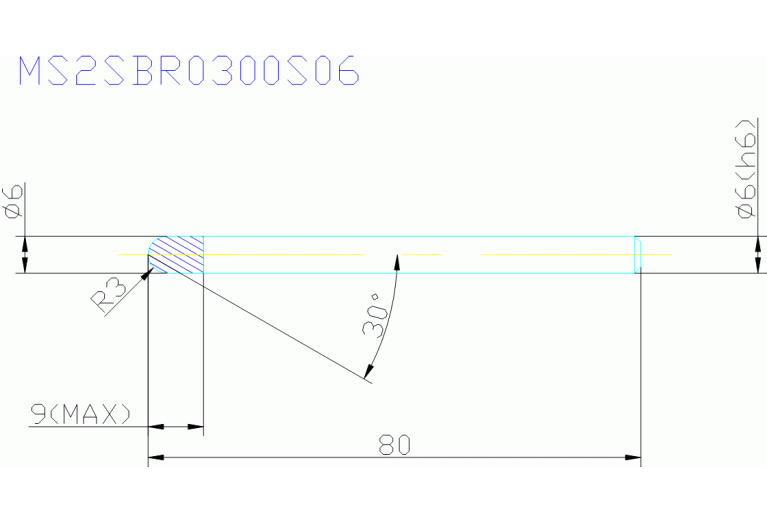 MS2SBR0300S06