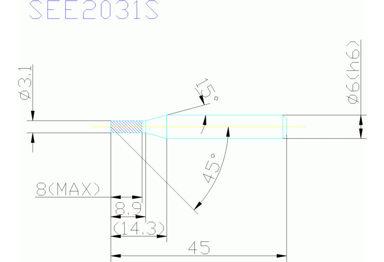 SEE2031S