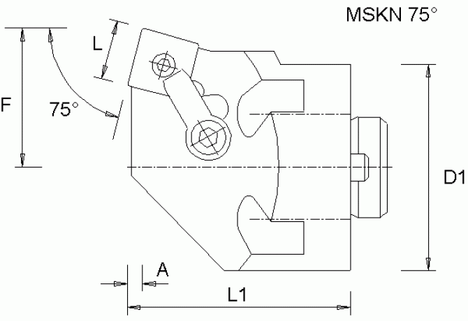 H60MSKNL19