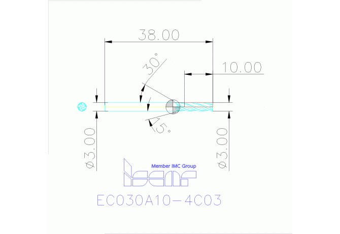 EC030A10-4C03 IC300