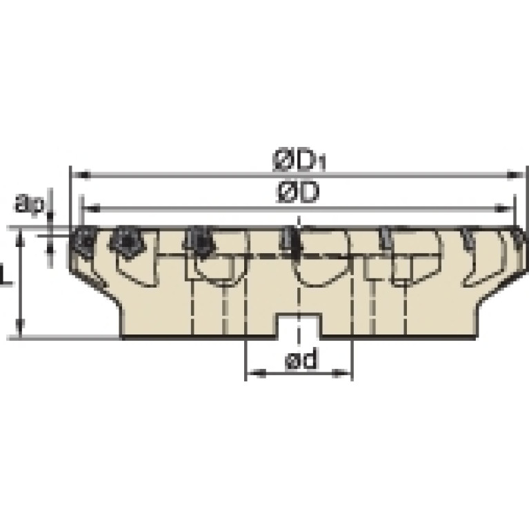 FMD02-250-C60-PN11-30