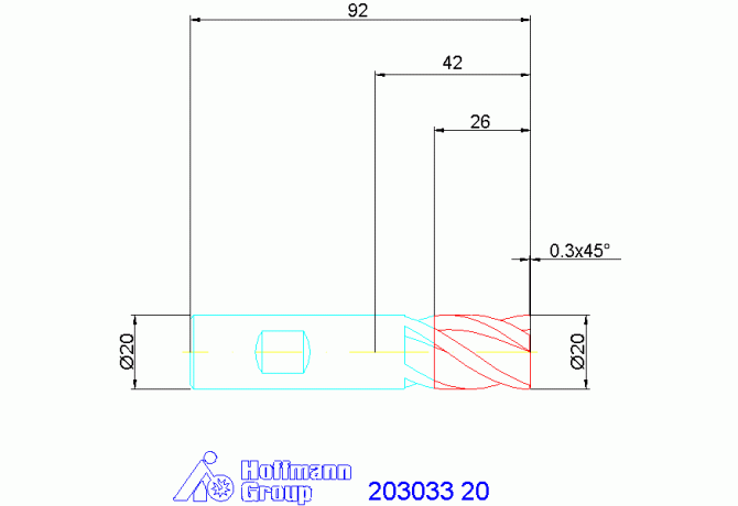 203033 20
