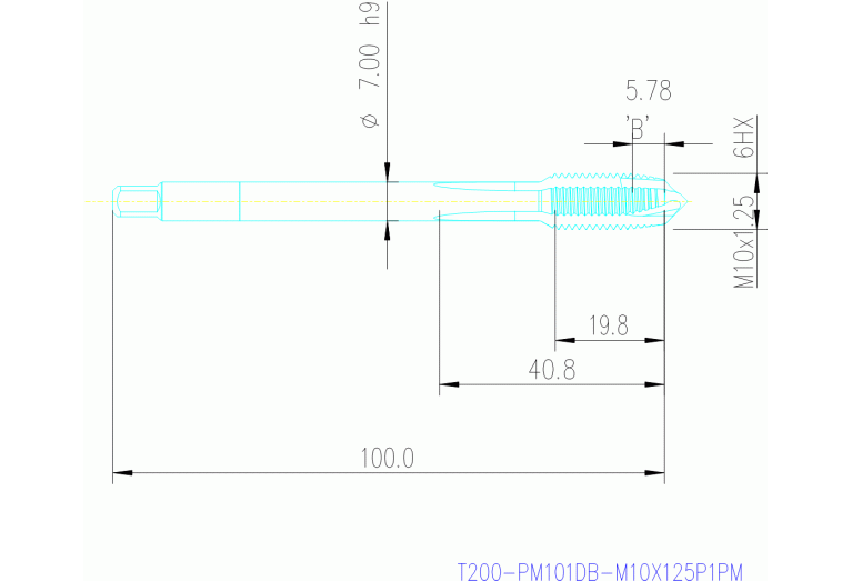 T200-PM101DB-M10X125P1PM