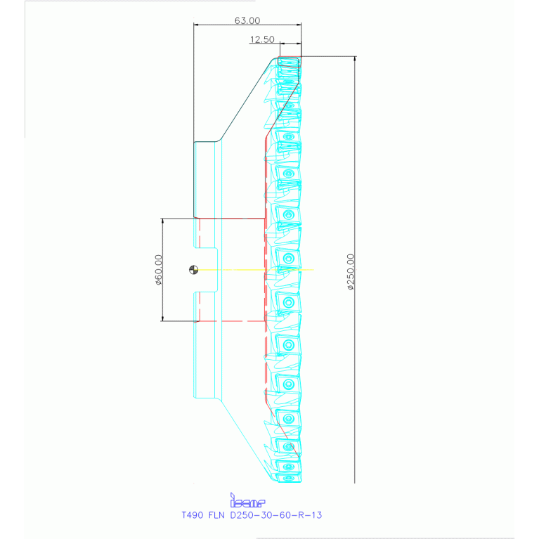 T490 FLN D250-30-60-R-13