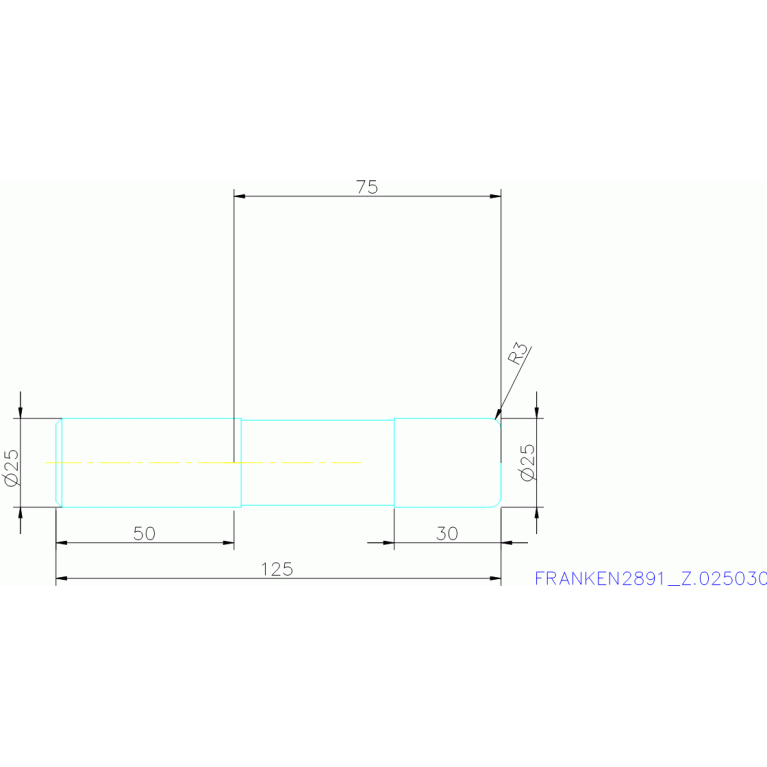 2891 Z.025030