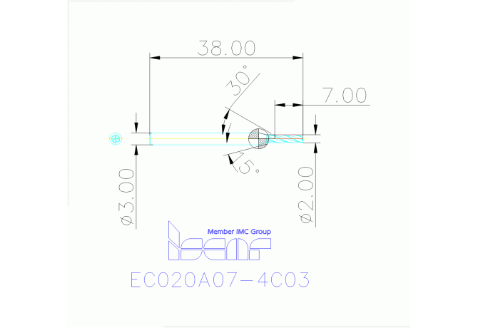 EC020A07-4C03 IC300