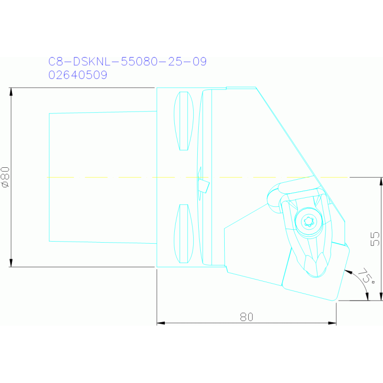 C8-DSKNL-55080-25-09