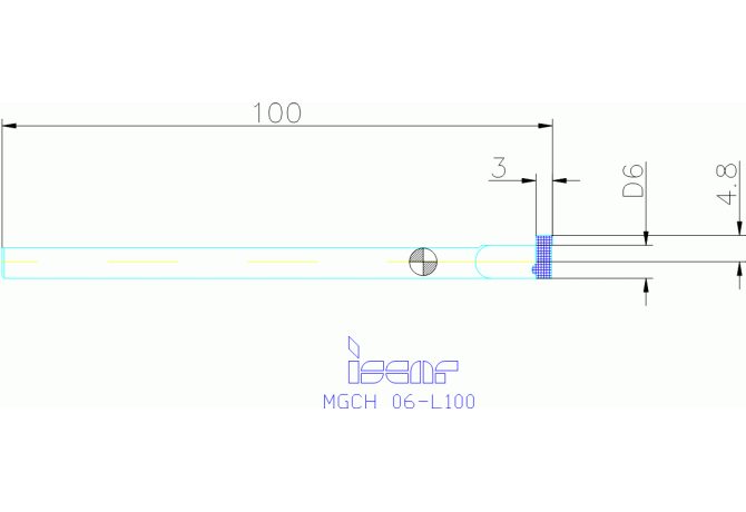 MGCH 06-L100