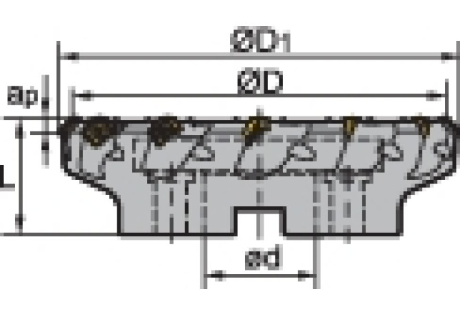 FMA01-250-C60-SE18-10L