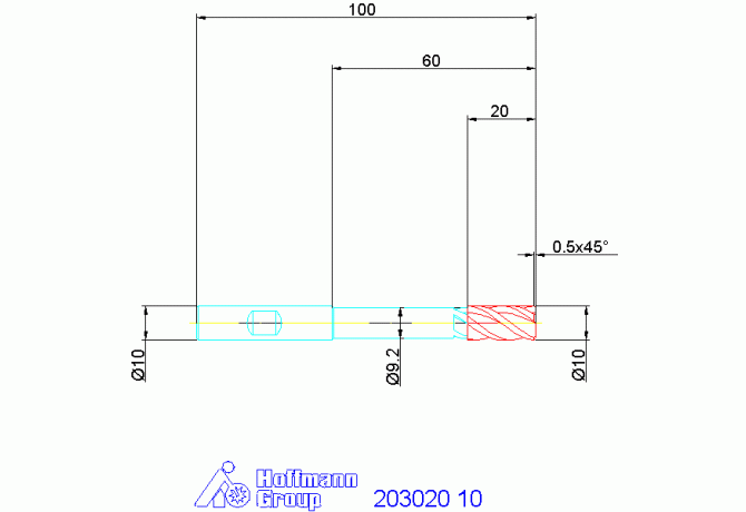 203020 10
