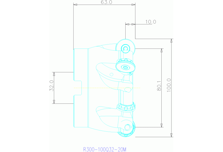 R300-100Q32-20M