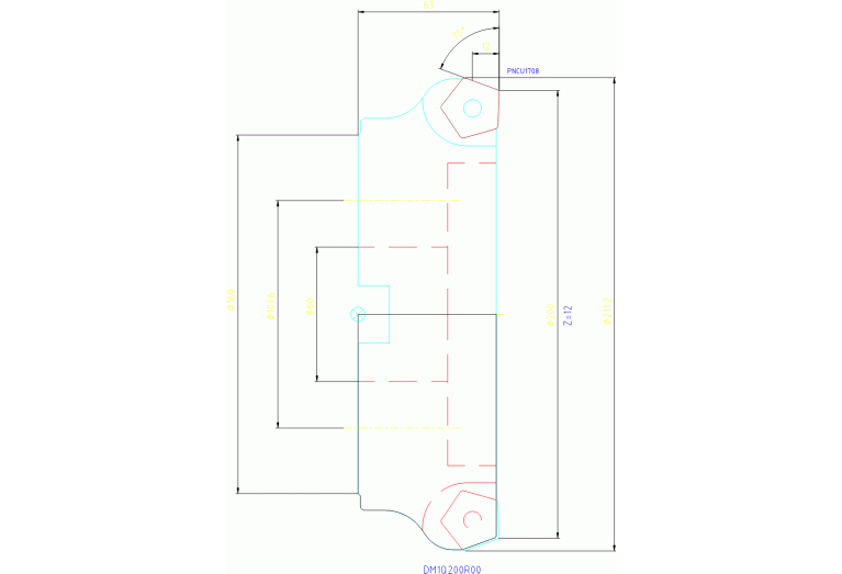 DM1Q200R00