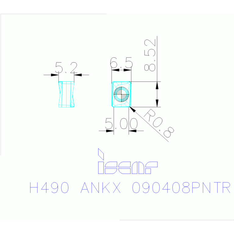 H490 ANKX 090408PNTR IC808