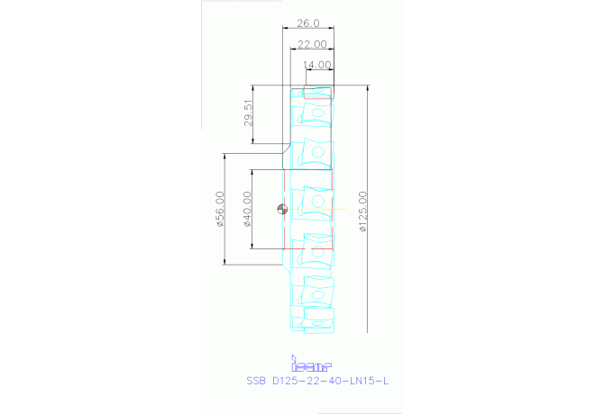 SSB D125-22-40-LN15-L
