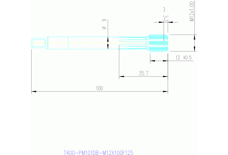 T400-PM101DB-M12X100F125