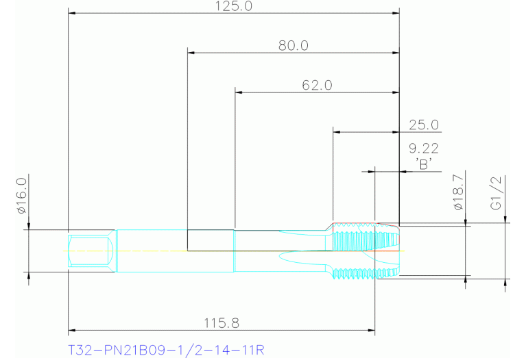 T32-PN21B09-1/2-14-11R