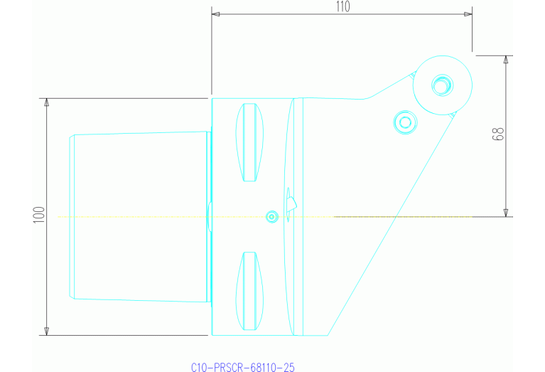 C10-PRSCR-68110-25