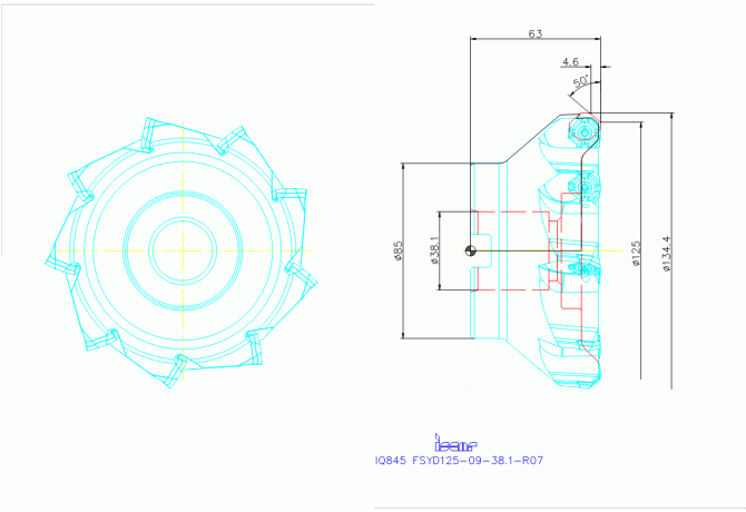 IQ845 FSYD125-09-38.1-R07