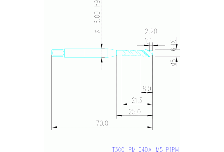 T300-PM104DA-M5 P1PM