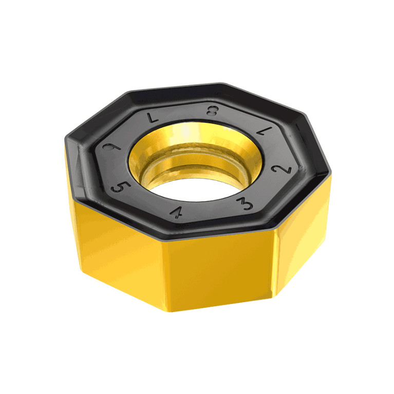 ONHU 070610-TR IC810