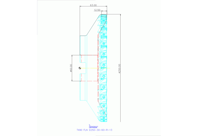 T490 FLN D250-30-60-R-13