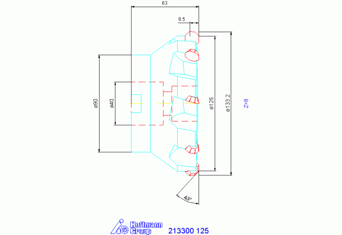 213300 125