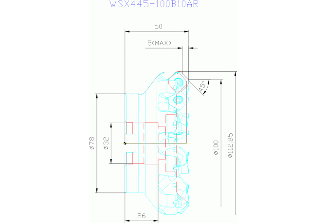WSX445-100B10AR